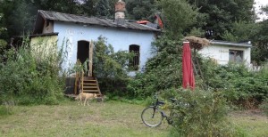 freiraum elbtal infocafe