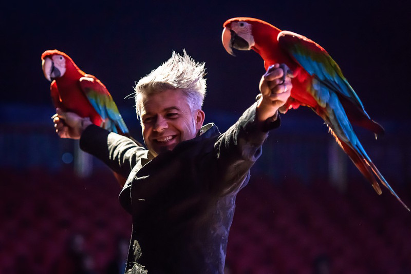 Antony Zatta mit seinen Papageien.