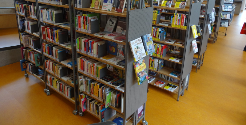 bibliothek pieschen 1807
