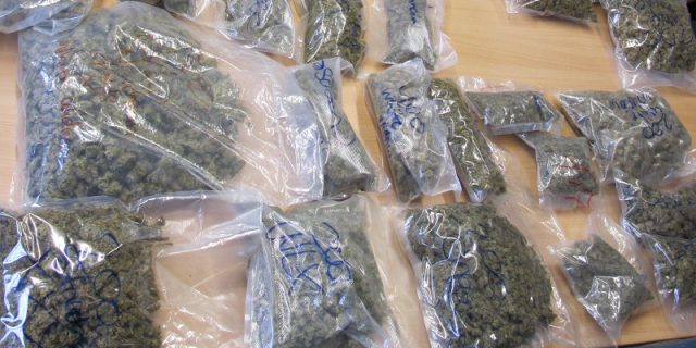 polizei-sichergestellte-cannabisblueten