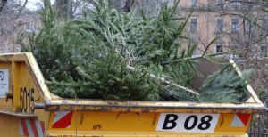 Weihnachtsbaum entsorgen Container