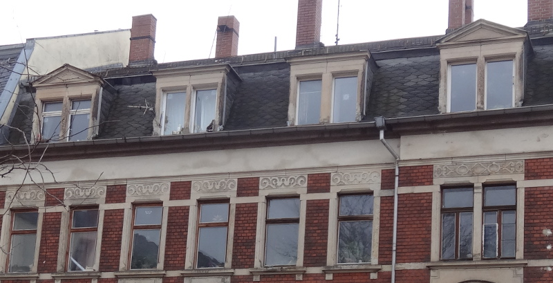 koko3 dach