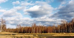 Heller Landschaft 1998