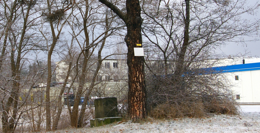 Hirschdenkmal