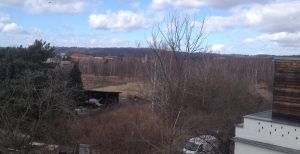 Hufewiesen Tabakfabri