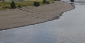 Elbe Wasserstand