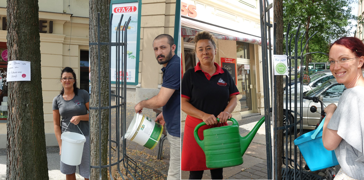 baeume giessen vier