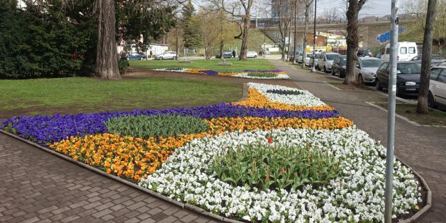 Leisniger Platz Blumen