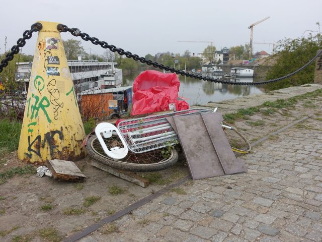 Elbwiesenreinigung 2019