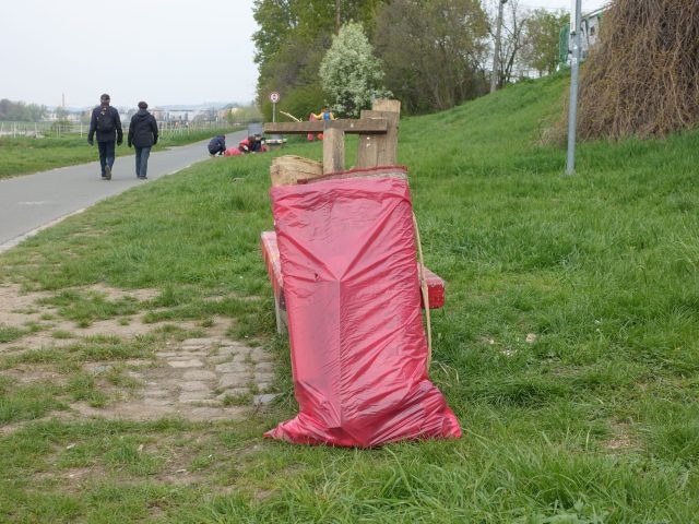 Elbwiesenreinigung 2019
