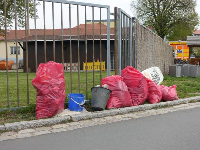 Elbwiesenreinigung 2019