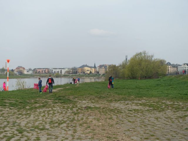 Elbwiesenreinigung 2019