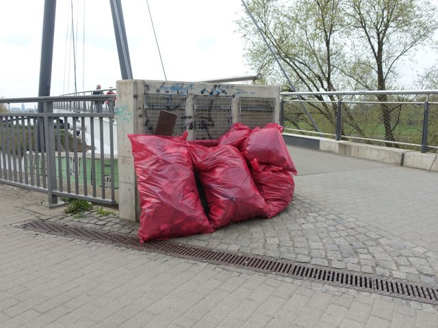 Elbwiesenreinigung 2019