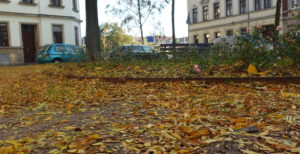 Laub konkordienplatz