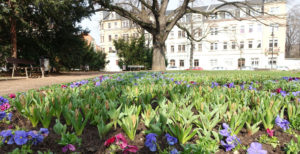 Leisniger Platz