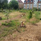 Gemeinschaftsgarten Wurzelwerk UFER-Projekte Dresden e. V.