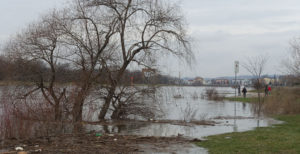 Elbe Hochwasserstand