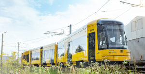 DVB Stadtbahnwagen beklebt