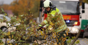 Sturm Feuerwehr Bäume