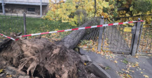 Strumschäden Weinbergstraße