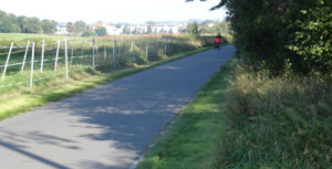 Elberadweg