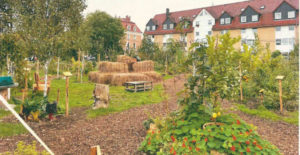 ufer projekte schaugarten