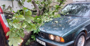 Sturm BMW