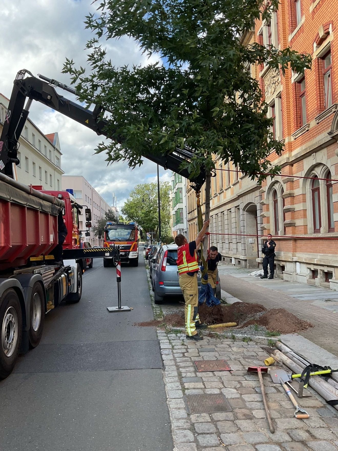 Mit einem Kran wird der Baum gesichert und mit Schaufeln ausgegraben. Foto: Feuerwehr Dresden