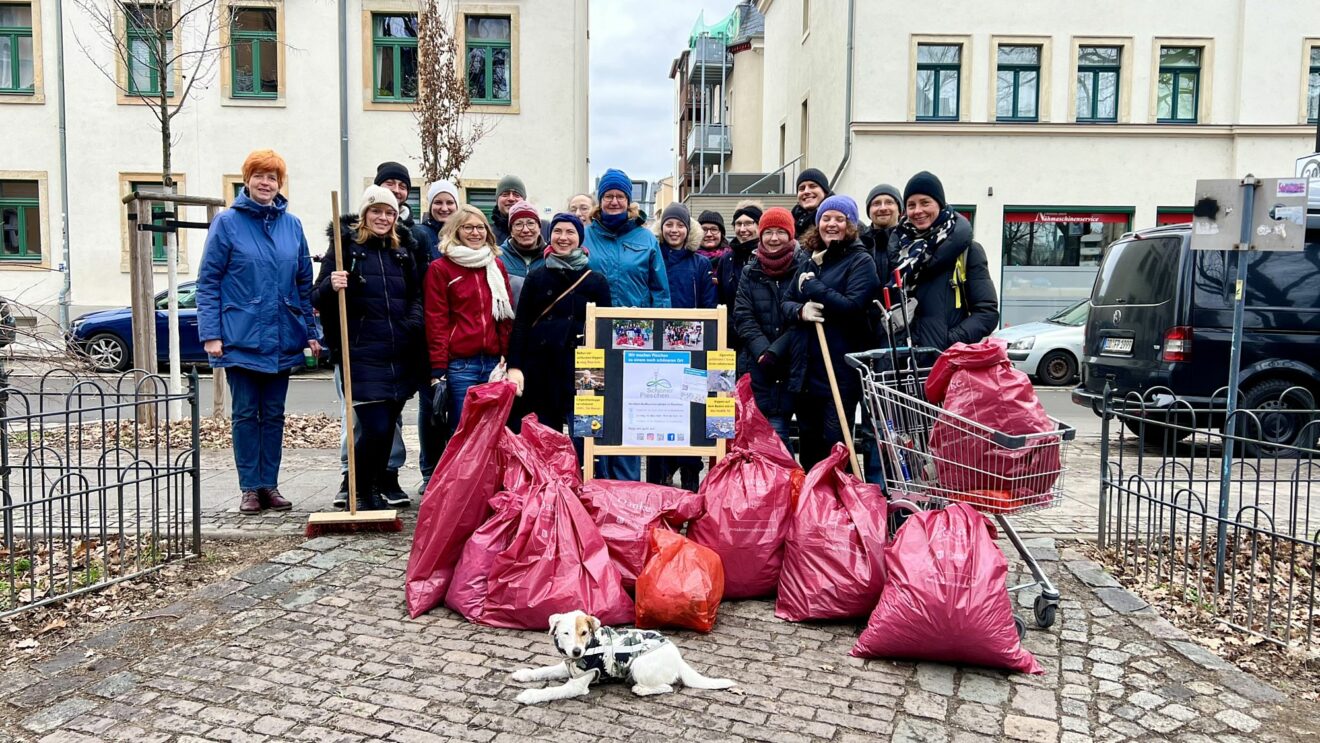 Müllsammel-Aktion im Januar auf der Torgauer Straße und Osterbergstraße - Foto: Schöner Pieschen