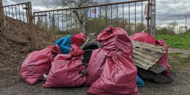 Müllsammeln auf den Hufewiesen. Foto: Hufewiesen Trachau e.V.