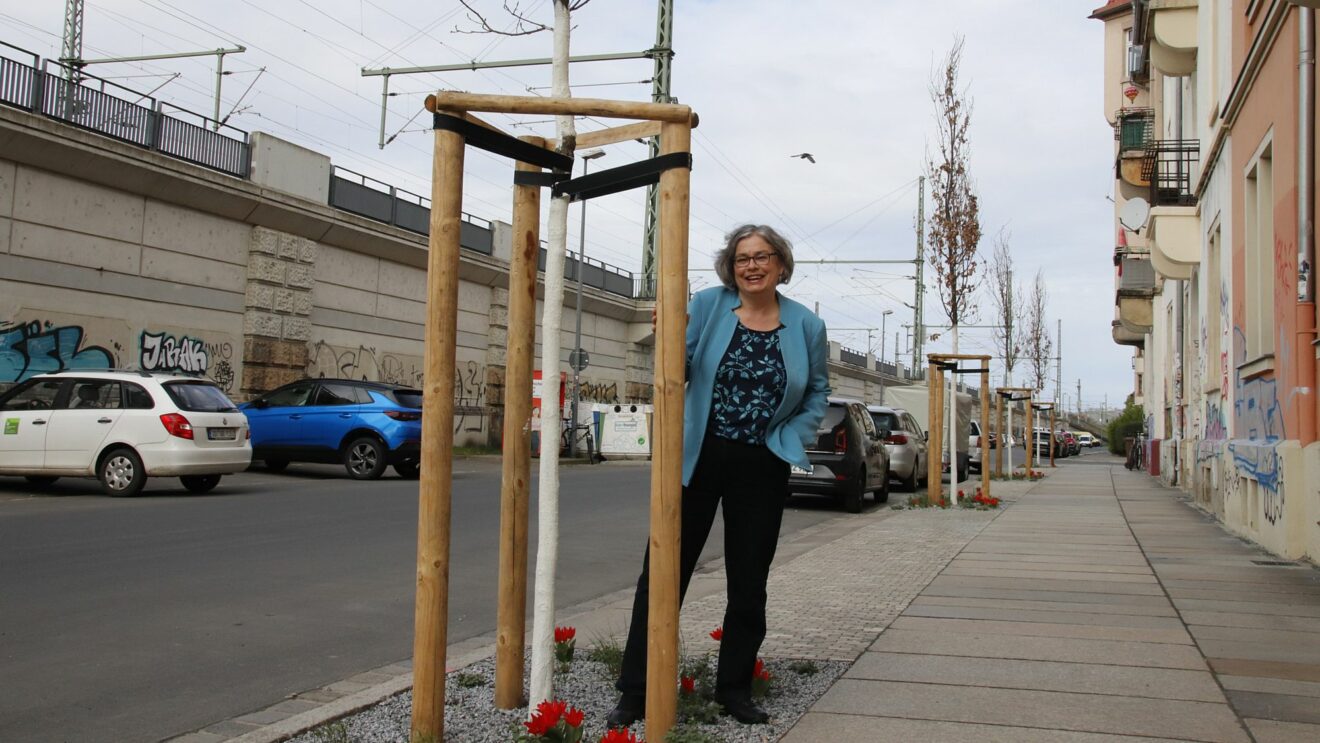 Umweltbürgermeisterin Eva Jähnigen (Grüne) bei der Vorstellung der Pflanzungsaktiväten der Stadt Dresden. Foto: J. Frintert