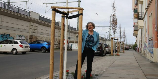 Umweltbürgermeisterin Eva Jähnigen (Grüne) bei der Vorstellung der Pflanzungsaktiväten der Stadt Dresden. Foto: J. Frintert