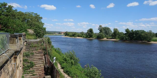 Die sommerliche Elbe. Foto: J. Frintert