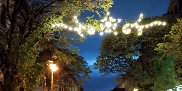 Insgesamt sieben Lichterketten hängen auf der Oschatzer Straße und auf der Konkordienstraße.