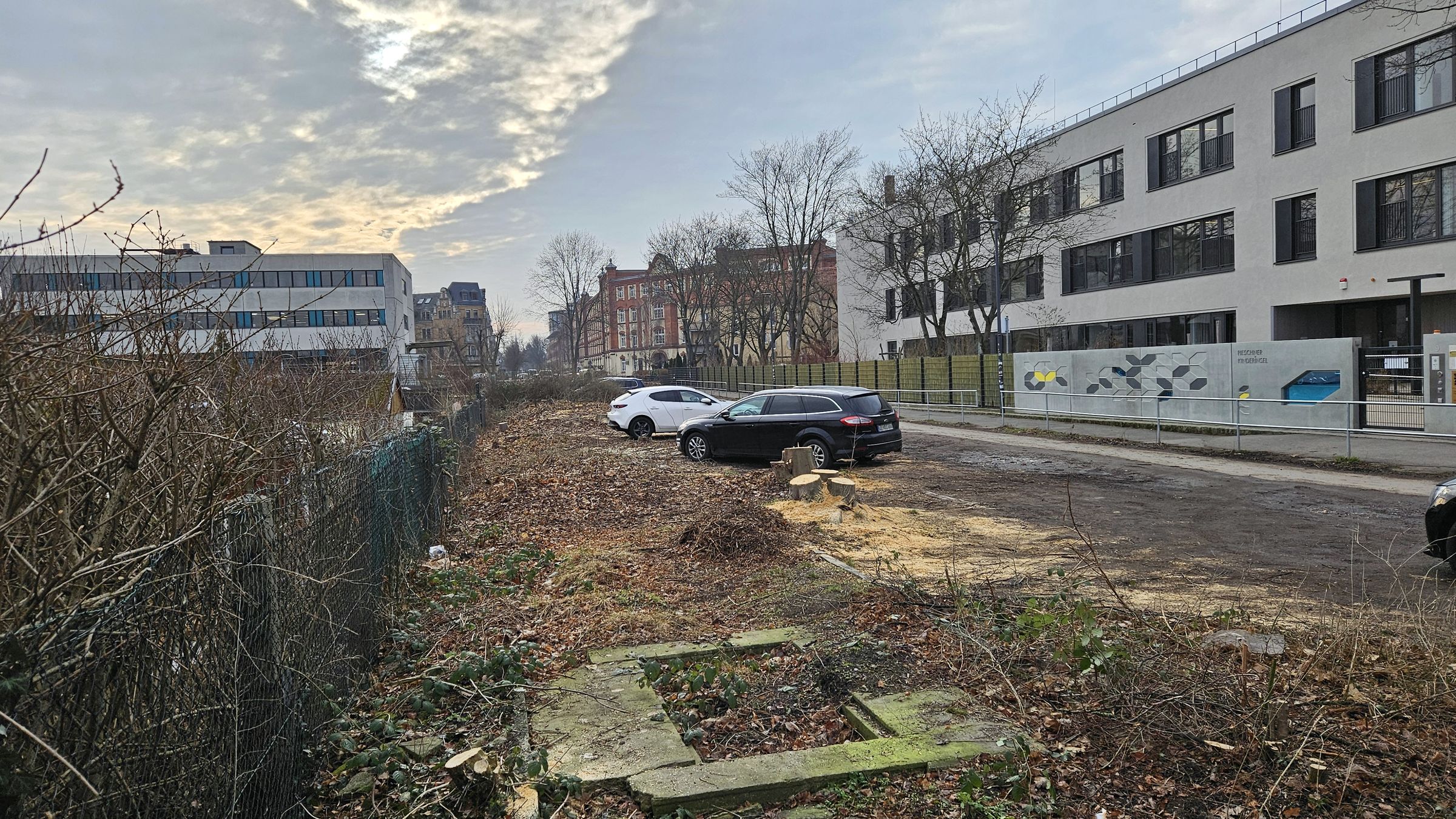 Hier soll eine Fernwärmetrasse der Sachsen-Energie verlegt werden. Anschließend sollen neue Bäume gepflanzt werden. Foto: J. Frintert