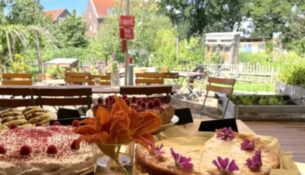 Erst im Naschgarten essbare Pflanzen kosten, dann ins Gartencafé zum Verweilen. Foto: Alte Gärtnerei Dresden