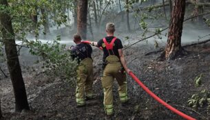 Feuerwehreinsatz in der "Jungen Heide" - Foto: R. Halkasch