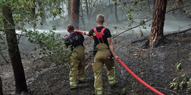 Feuerwehreinsatz in der "Jungen Heide" - Foto: R. Halkasch