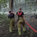 Feuerwehreinsatz in der "Jungen Heide" - Foto: R. Halkasch