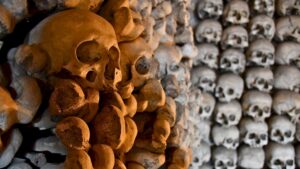 Ausstellung „Memento Mori“ in der Blauen Fabrik Geflüster der Vergessenen - Foto: Hanna Krezlewska