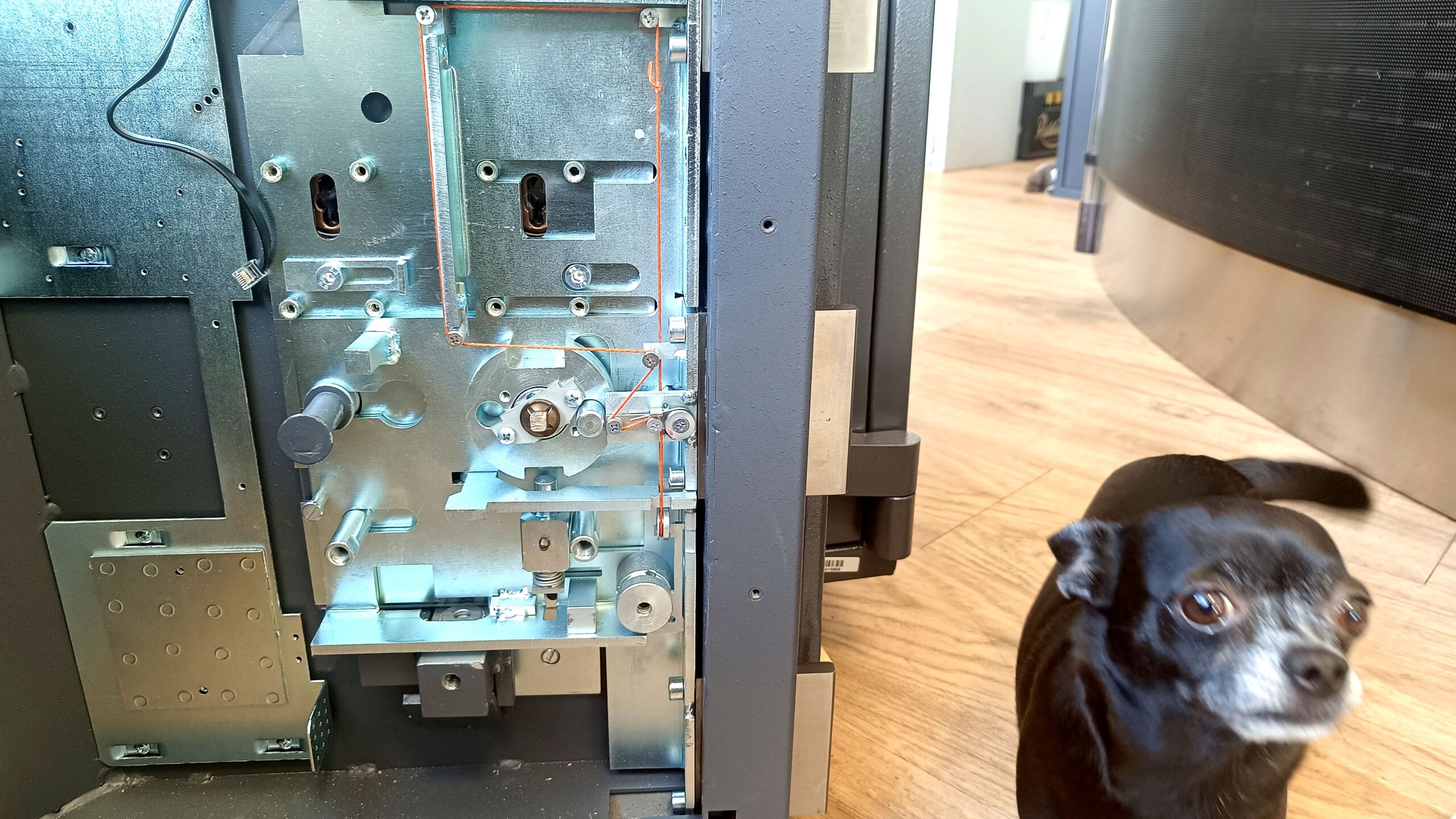 Mit im Geschäft ist Hündin Lotte. Im Hintergrund das technisch ausgeklügelte Schließsystem eines Tresors.