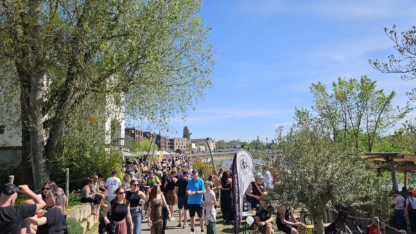 Um die Mittagszeit strömten Neugierige in Scharen an die Elbpromenade - Foto: J. Frintert