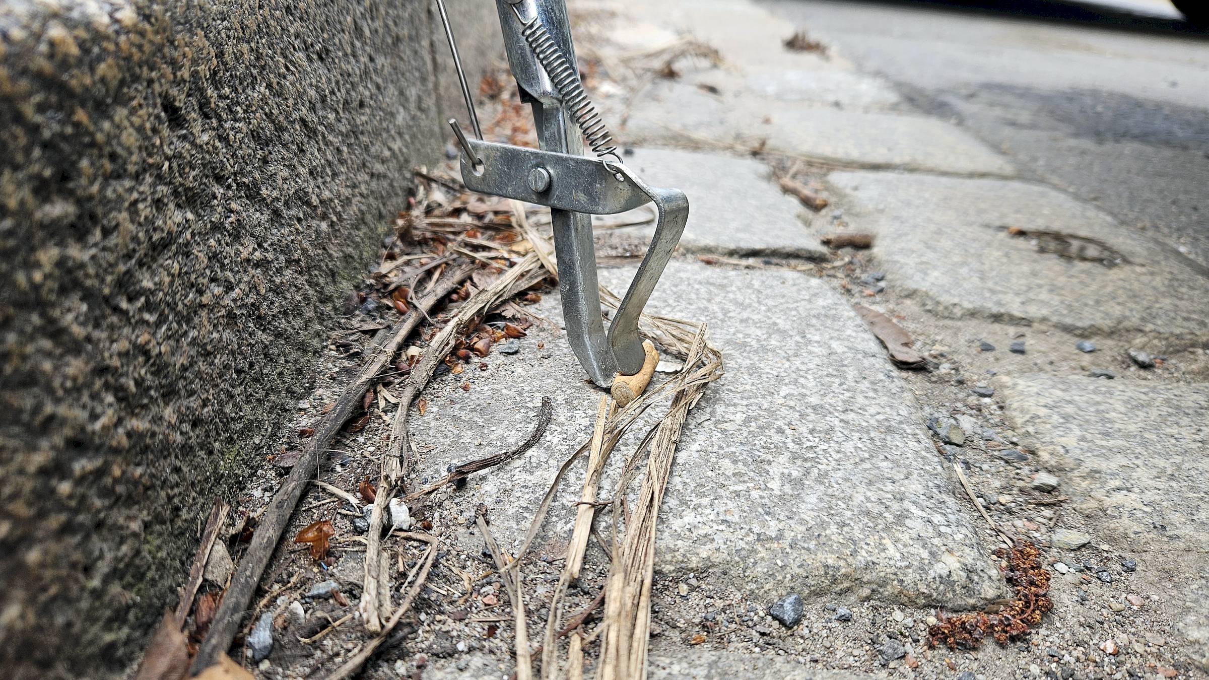 Knifflige Zange, mancher Zigarettenstummel ist ganz schön hartnäckig. Foto: J. Frintert