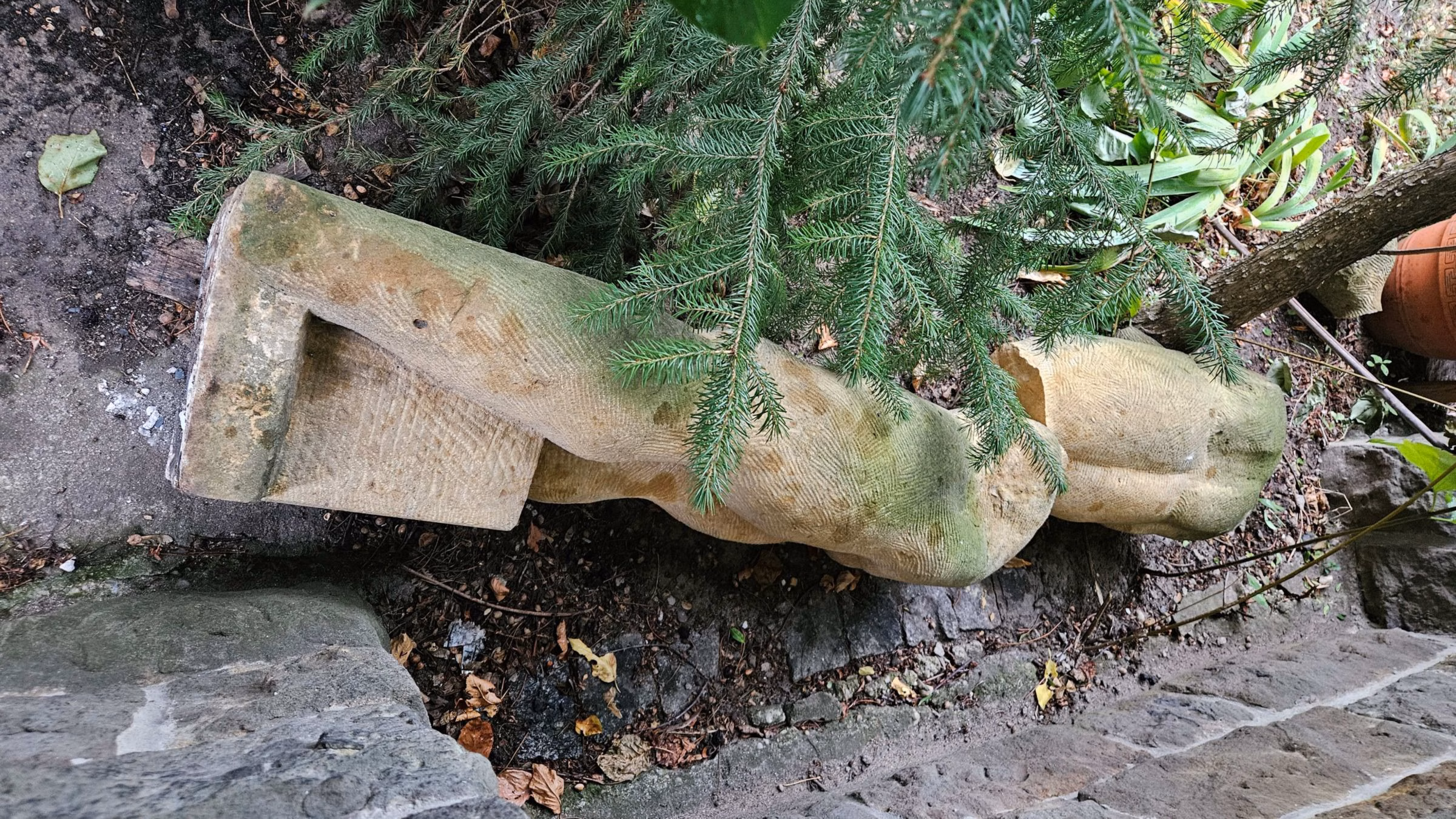 Umgestürzter Seitenblick im Garten der Bildhauerin. Foto: K. Feindt-Eißner