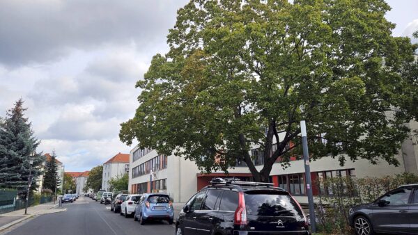 144. Grundschule in der Micktner Straße 10 - Foto: J. Frintert